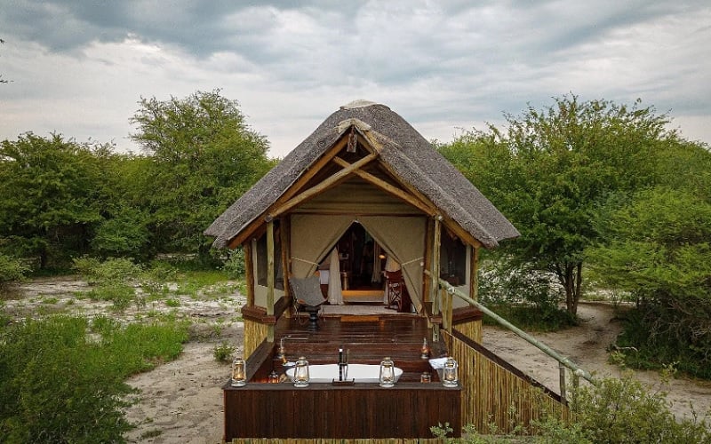 Stay Longer For Less at Feline Fields Lodge Kalahari Desert
